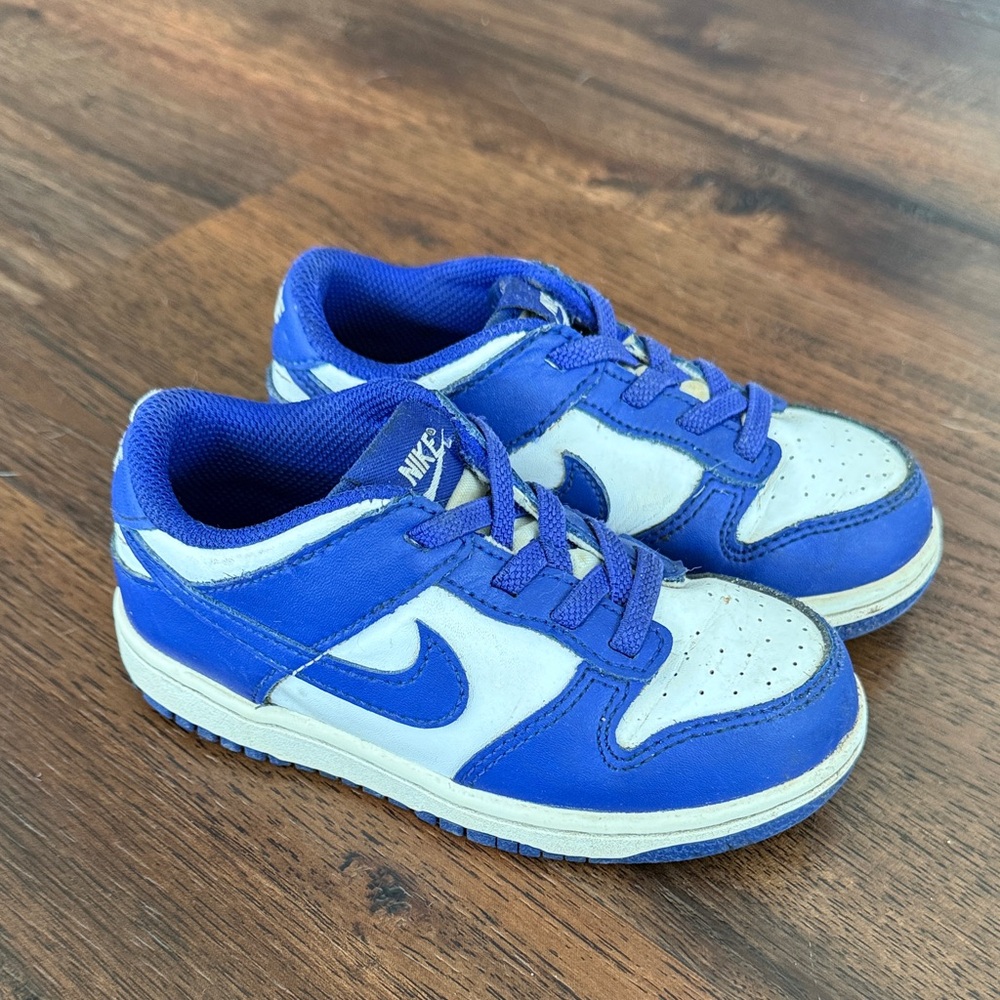 Nike Low Dunk 9C Blue and White Sneakers